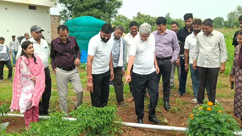 वैज्ञानिक खेती से बबलू ने बदली खेती की तस्वीर, एक एकड़ मिर्च से 5 लाख तक शुद्ध आय